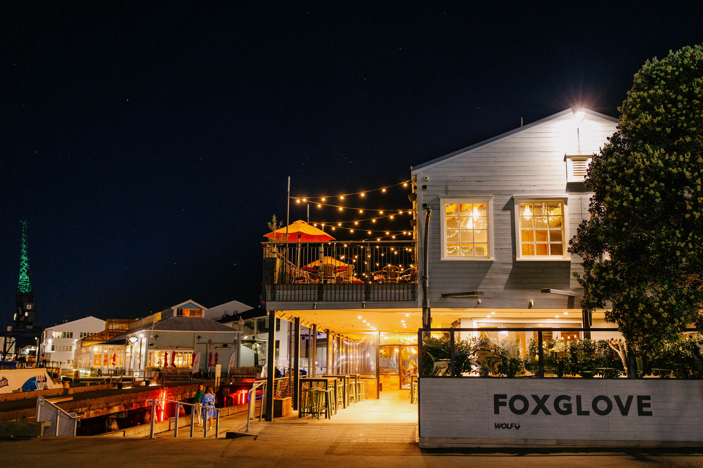 An image of the foxglove bar in Wellington, NZ